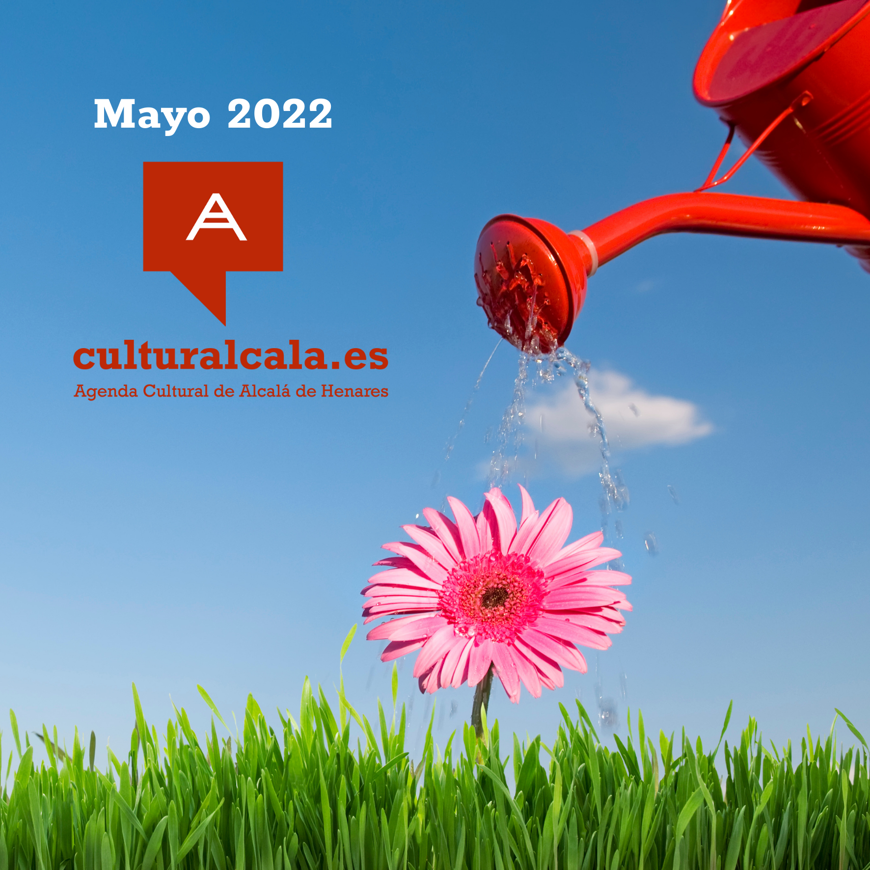 Mayo 2022